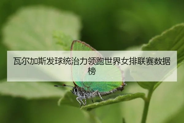 wa-er-jia-si-fa-qiu-tong-zhi-li-ling-pao-shi-jie-nv-pai-lian-sai-shu-ju-bang-3-925.jpg