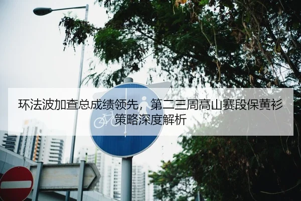 环法波加查总成绩领先，第二三周高山赛段保黄衫策略深度解析